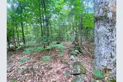 26Ac Tucker Road, Porter, ME 04068 - Photo 9