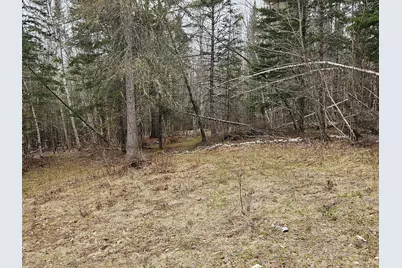10 Hobbstown Road, Milo, ME 04463 - Photo 9