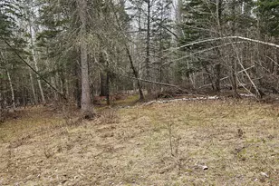 10 Hobbstown Rd, Milo, ME 04463 - Photo 9