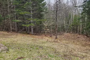 10 Hobbstown Rd, Milo, ME 04463 - Photo 11
