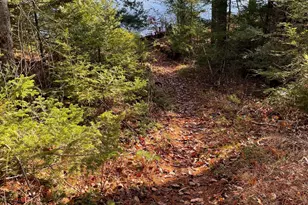 145 Lakeview Ln, Crawford, ME 04694 - Photo 33