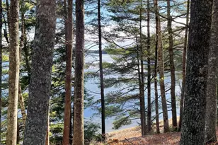 145 Lakeview Ln, Crawford, ME 04694 - Photo 17