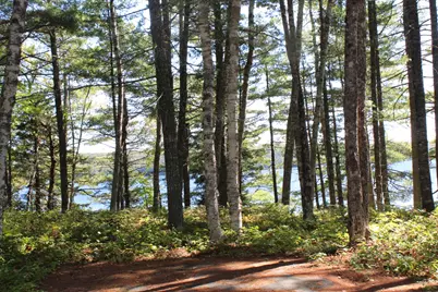 145 Lakeview Lane, Crawford, ME 04694 - Photo 55