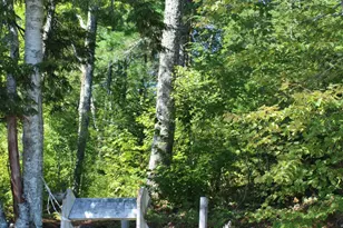 145 Lakeview Ln, Crawford, ME 04694 - Photo 19
