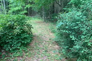145 Lakeview Ln, Crawford, ME 04694 - Photo 5