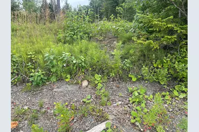 Lot 34 Lake Shore Drive, Stockholm, ME 04783 - Photo 7