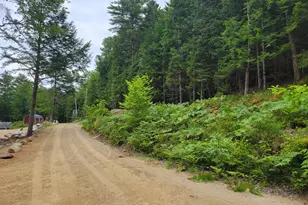 55 Webb Rivers Acres, Carthage, ME 04224 - Photo 23