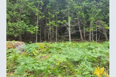 55 Webb Rivers Acres, Carthage, ME 04224 - Photo 21