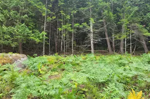55 Webb Rivers Acres, Carthage, ME 04224 - Photo 21