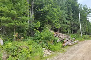 55 Webb Rivers Acres, Carthage, ME 04224 - Photo 19