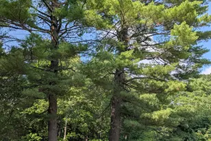 245 Higgins Hill Rd, Morrill, ME 04952 - Photo 33