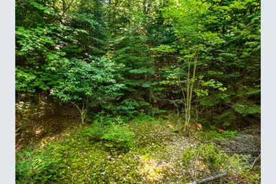 M58, Lot 1 Paul Bunyan Road, Gouldsboro, ME 04607 - Photo 7