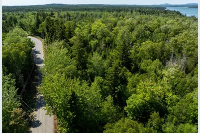 M58, Lot 1 Paul Bunyan Road, Gouldsboro, ME 04607 - Photo 9