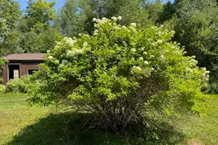 89 Lenfest Rd, Palermo, ME 04354 - Photo 39