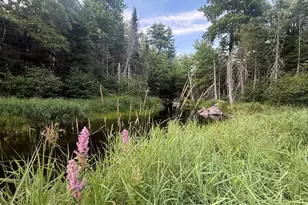 79 Bear Mountain Way, Swanville, ME 04915 - Photo 5