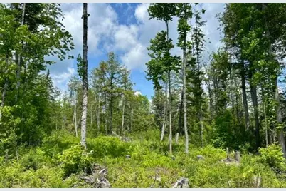 Lot 2 Hammond Brook Road Road, Monson, ME 04464 - Photo 7