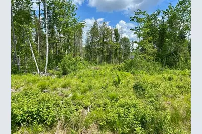 Lot 2 Hammond Brook Road Road, Monson, ME 04464 - Photo 3