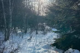 31 Wiswell Rd, Brewer, ME 04412 - Photo 51