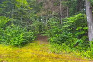 508 Union Hill Rd, Stow, ME 04037 - Photo 37