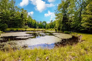 155 Anson Valley Rd, New Vineyard, ME 04956 - Photo 59