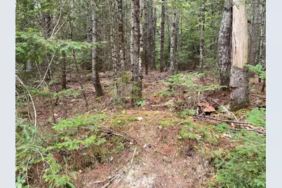 M39, L30D Jay Carter Road, Blue Hill, ME 04614 - Photo 5