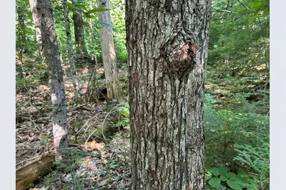 M13L7 Bear Mountain Road, Fairfield, ME 04937 - Photo 29
