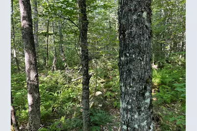 M13L7 Bear Mountain Road, Fairfield, ME 04937 - Photo 21