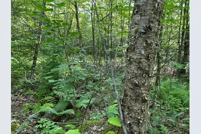 M13L7 Bear Mountain Road, Fairfield, ME 04937 - Photo 9