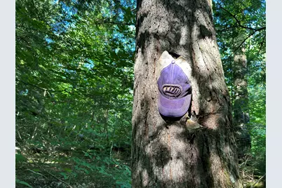 M13L7 Bear Mountain Road, Fairfield, ME 04937 - Photo 11