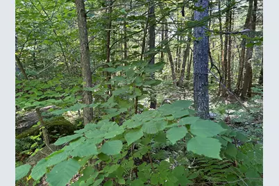 M13L7 Bear Mountain Road, Fairfield, ME 04937 - Photo 23