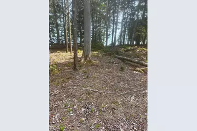 Lot 4 125 Aspen Lane, Steuben, ME 04680 - Photo 7