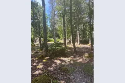 Lot 4 125 Aspen Lane, Steuben, ME 04680 - Photo 9