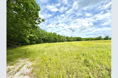Map13Lot4 Martins Ridge Road, Franklin, ME 04634 - Photo 13