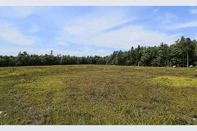 Map13Lot9 Martins Ridge Road, Franklin, ME 04634 - Photo 17