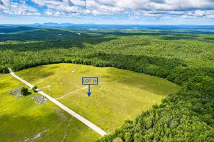 Map13Lot11 Martins Ridge Rd, Franklin, ME 04634 - Photo 1