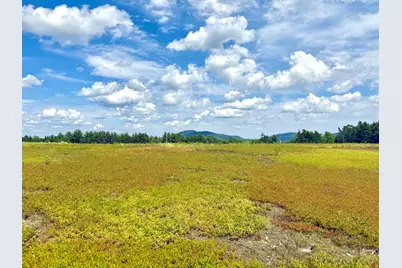 Map13Lot11 Martins Ridge Road, Franklin, ME 04634 - Photo 19
