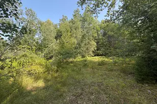 305 Hovey Rd, Milo, ME 04463 - Photo 1