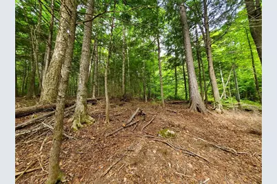 Map18Lot27 Sandy Beach Road, Danforth, ME 04424 - Photo 9