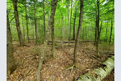 Map18Lot27 Sandy Beach Road, Danforth, ME 04424 - Photo 19