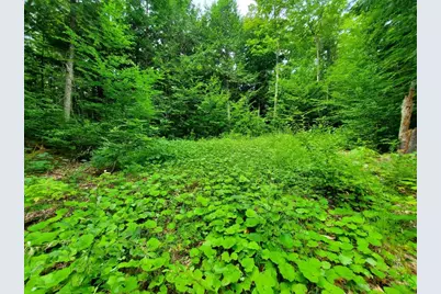 Map18Lot27 Sandy Beach Road, Danforth, ME 04424 - Photo 11