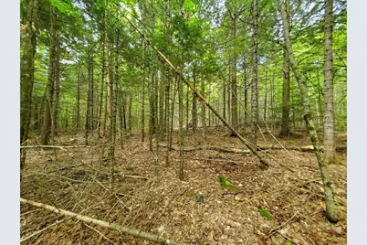 Map18Lot27 Sandy Beach Road, Danforth, ME 04424 - Photo 17