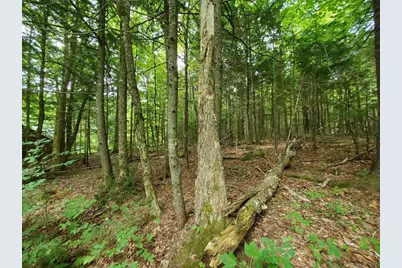 Map18Lot27 Sandy Beach Road, Danforth, ME 04424 - Photo 15