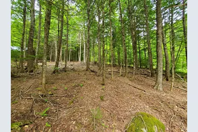 Map18Lot27 Sandy Beach Road, Danforth, ME 04424 - Photo 5