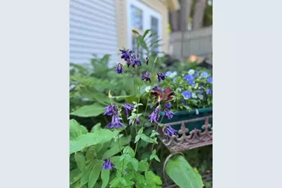 185 Broadway, Rockland, ME 04841 - Photo 9