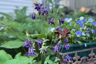 185 Broadway, Rockland, ME 04841 - Photo 9