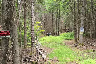 57 Fred Soucie Ln, Winterville Plt, ME 04739 - Photo 3