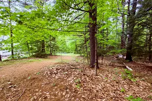 411 E Jay Rd, Jay, ME 04239 - Photo 37
