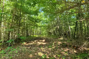 27 Willy's Wy, Buckfield, ME 04220 - Photo 31