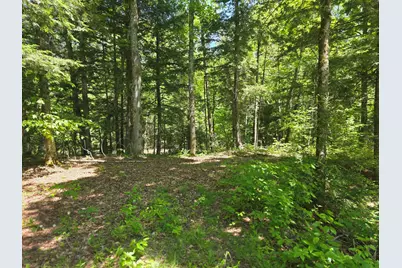 Lot S US Rt 2, Macwahoc, ME 04451 - Photo 5