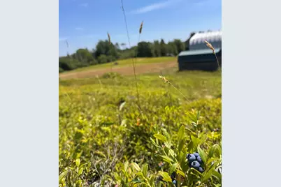 93 Stagecoach Road, East Machias, ME 04630 - Photo 89
